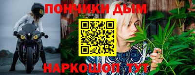 шишки Донецк