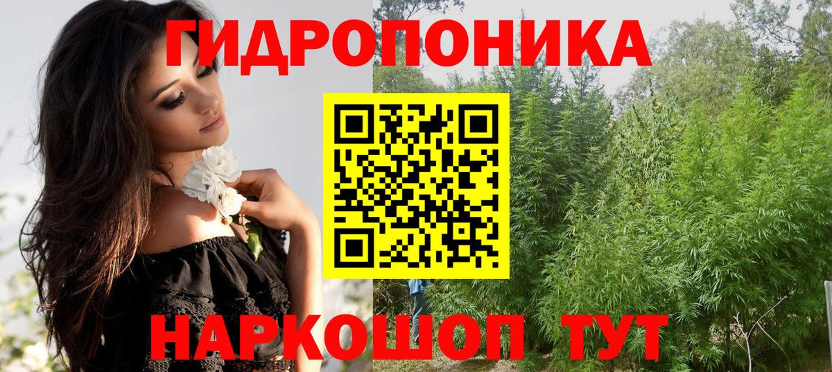 Марихуана OG Kush Миасс